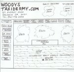 original draft of woodys.JPG