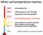 Soil temperature.JPG