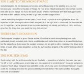 10 reasons food plots fail-2.JPG