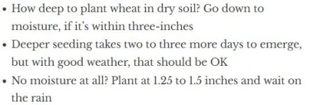 Dry soil planting -3.JPG