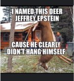 Epstein deer.jpg