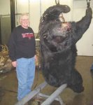 Bear2 smallpic Giant Wisconsin.jpg