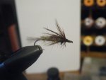 for the cycle (caddis) 002.JPG