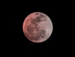Red Moon 3 IMG_3937 copy.jpg
