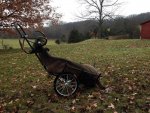 deer cart.jpg