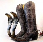 cobra-cowboy-boots.jpg