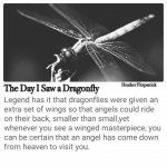 dragonfly saying.jpg