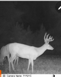 Bushnell_  Wireless Trail Camera.png