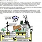 Nitrogen cycle.JPG