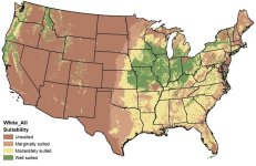 White Clover suitability map for climate and soil.JPG